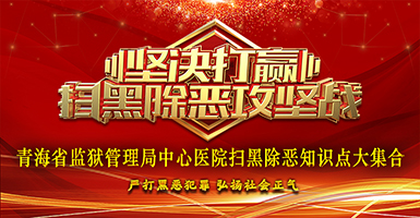 扫黑除恶专项斗争工作