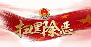 扫黑除恶专项斗争工作