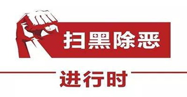 扫黑除恶专项斗争工作